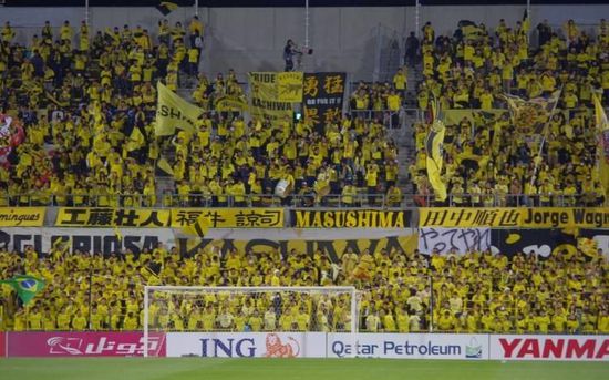 助威哪家强?冰岛战吼吓死对手 威尔士拉红色围墙